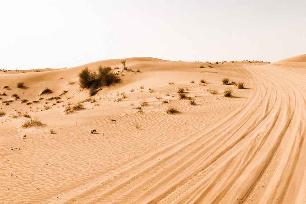 Faire face au stress de l'incertitude pour sortir du désert