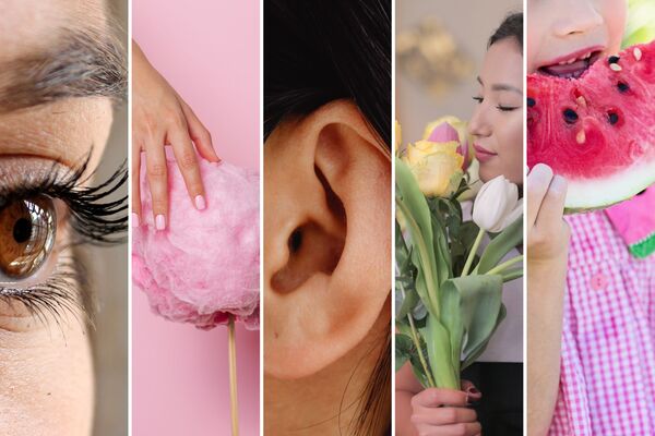 cette mosaïque de photos présente les cinq sens : un oeil de femme, une main qui touche une barbe à papa, une oreille de femme, une femme qui respire des fleurs, une petite fille en train de manger une pastèque