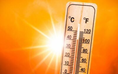 Canicule et santé mentale : quand la chaleur impacte l’esprit