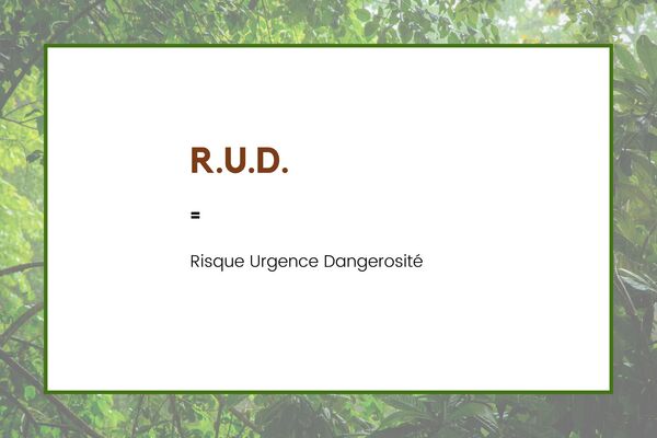 définition de l'acronyme RUD
