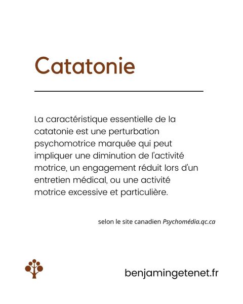définition du terme catatonie