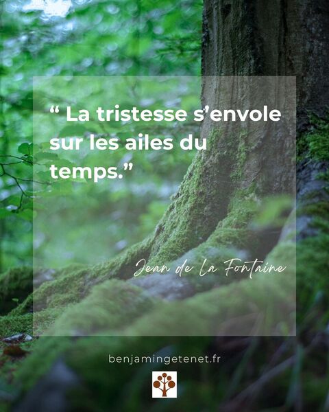 Citation du mois : “La tristesse s’envole sur les ailes du temps.” – Jean de La Fontaine
