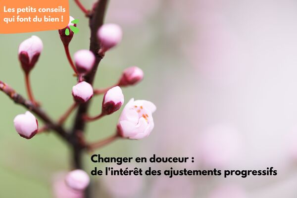 Changer en douceur : de l’intérêt des ajustements progressifs