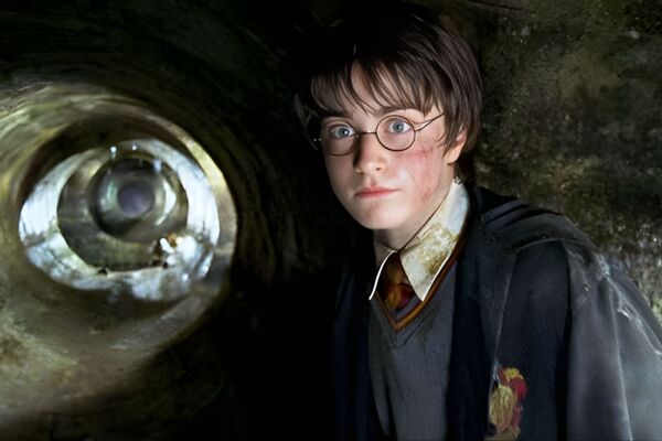 Harry Potter en thérapie : le poids du héros, entre trauma et construction de soi