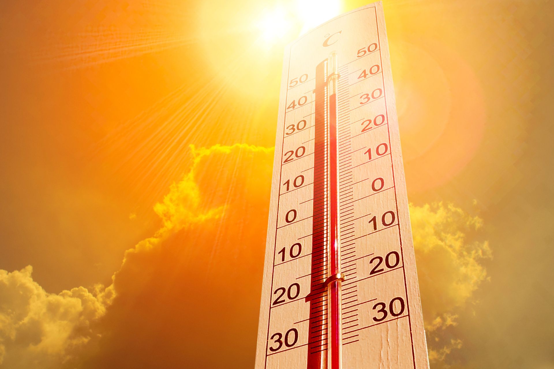 Canicule et traitements psychotropes : ce que vous devez savoir pour vous protéger