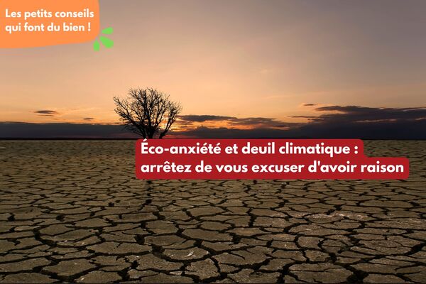 Éco-anxiété et deuil climatique : arrêtez de vous excuser d’avoir raison